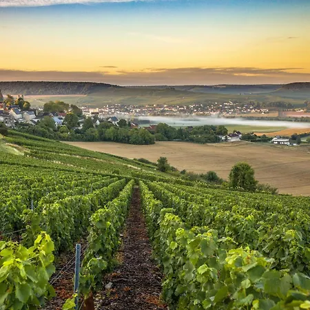 Les Bulles De Bonheur - Au Cœur Du Vignoble Champenois Chouilly